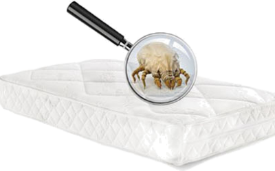 X-ATKÁK (Tóth Gábor)