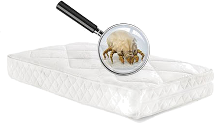 X-ATKÁK (Tóth Gábor)